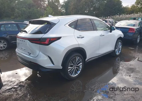 2025 Lexus Nx 350 Luxury z USA, uszkodzony, nr VIN 2T2HGCEZ5SC080407